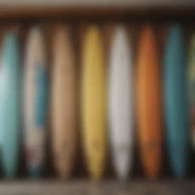 Surfboards displayed in a shop showcasing various shapes