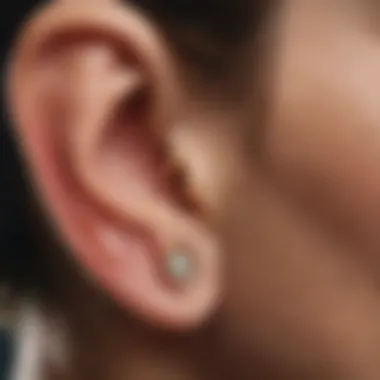 Understanding Ear Anatomy Anatomy of the ear highlighting the ear canal