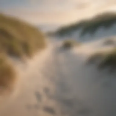 Hiking trail through scenic beach dunes