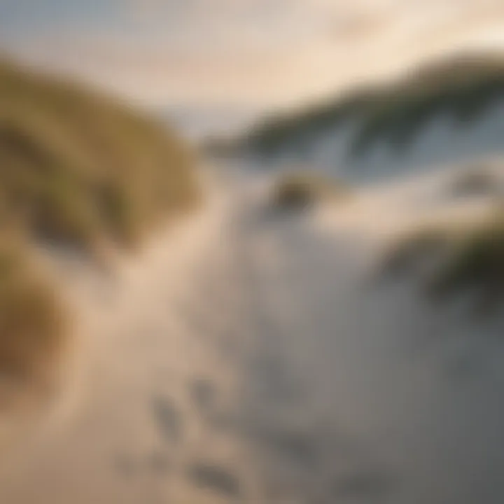 Hiking trail through scenic beach dunes