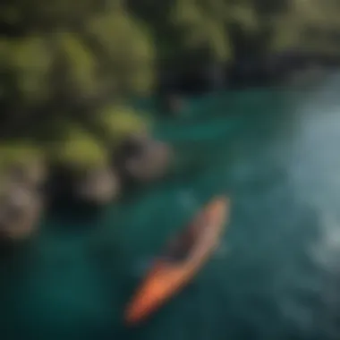 Kayaking in Honolua Bay Kayaking through the serene waters of Honolua Bay, showcasing its natural beauty.