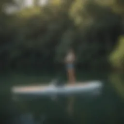 A sleek motorized paddle board gliding over calm waters
