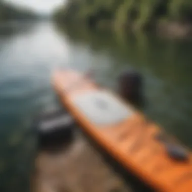 Essential paddleboarding gear laid out on a lakeside