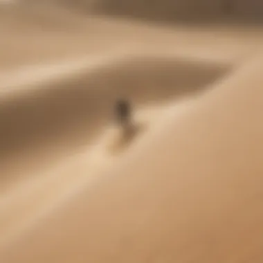 Action shot of a sandboarder gliding down a dune