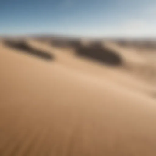 Expansive sand dunes under a clear blue sky