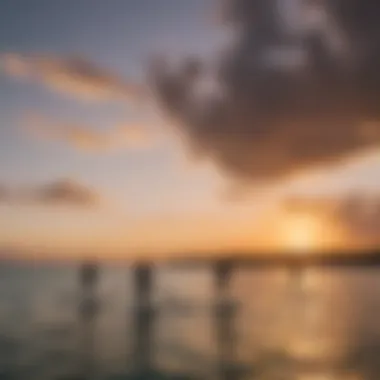 Sunset over the calm sea with silhouettes of paddleboarders