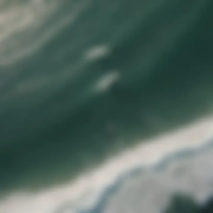 Aerial view of surfers riding the waves at a popular beach