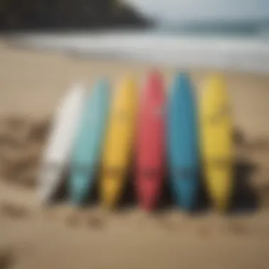 Surfboards Awaiting Adventure Surfboard lined up on the shore ready for action