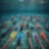Various types of swimming flippers displayed