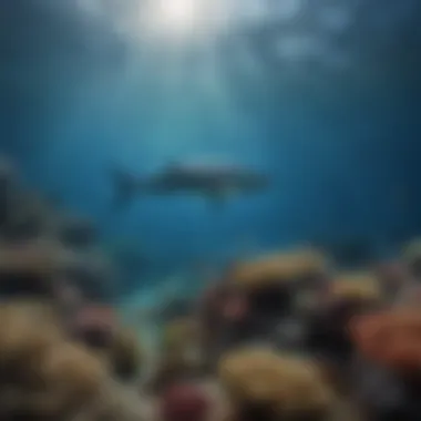 Pacific Ocean Biodiversity Underwater ecosystem showcasing diverse marine life in the Pacific Ocean