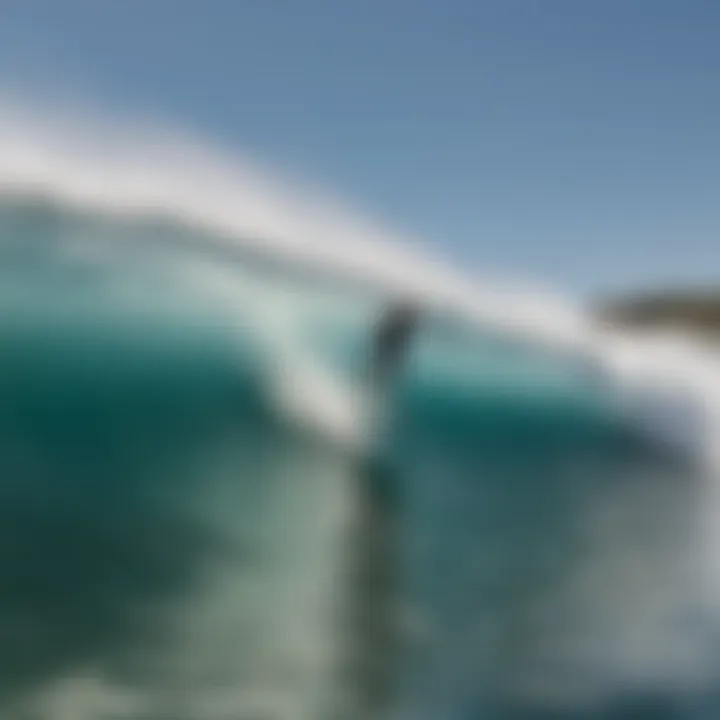 Surfers riding the innovative artificial waves, demonstrating the park's cutting-edge technology.