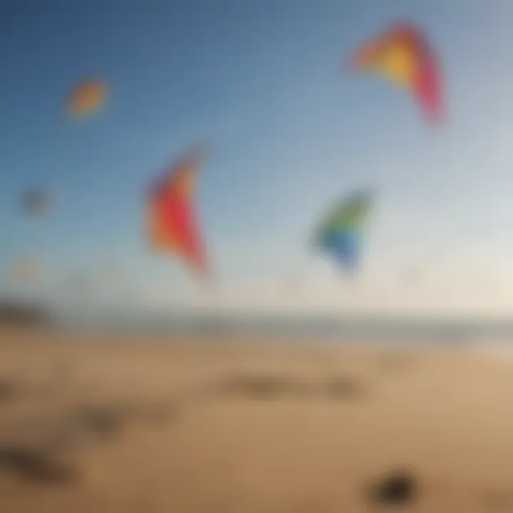 Different types of beach kites displayed on a sandy beach
