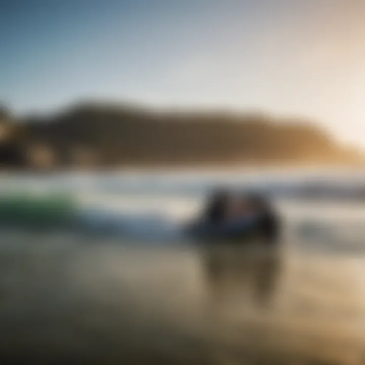 A group of bodyboarders sharing experiences and tips on the beach