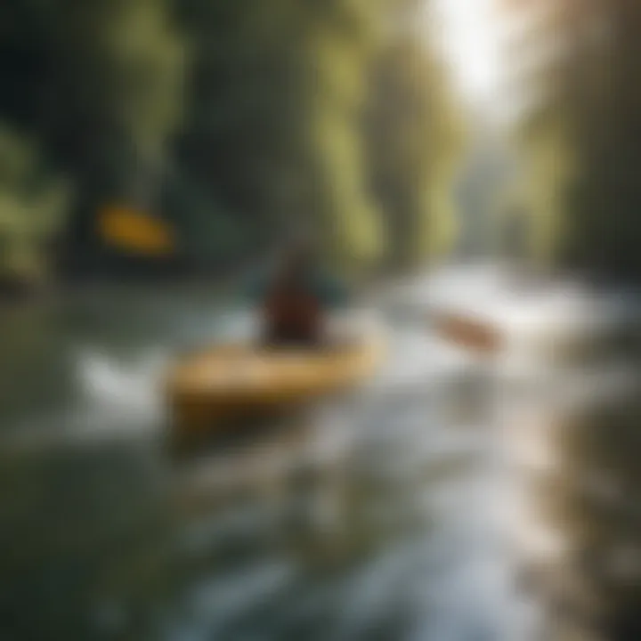 Kayaker navigating a serene river