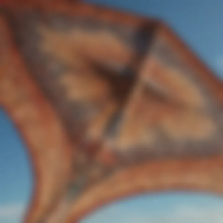 Close-up of unique two-handed kite design showcasing intricate patterns