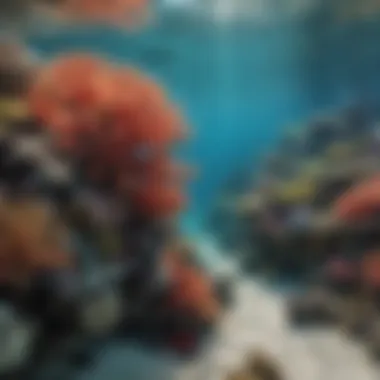 Diversity of Coral Reefs A vibrant coral reef teeming with diverse marine life.