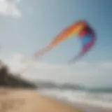 A vibrant kite soaring through the sky over a scenic beach