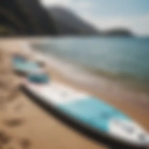 A serene beach with paddleboards lined up on the shore