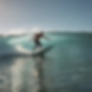 Diverse online surf programs showcased