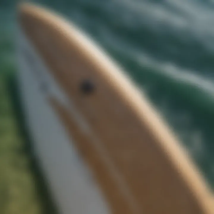 Detailed view of an isthmus sailboard showcasing its elegant design.