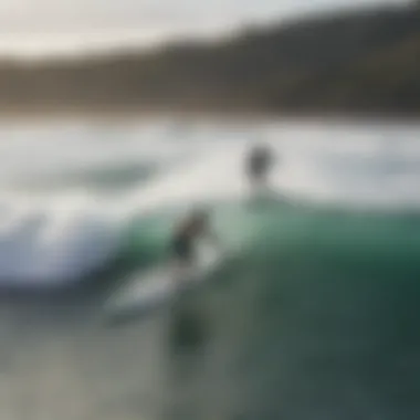 An aerial view of surfers catching waves with impeccable speed skimming skills.