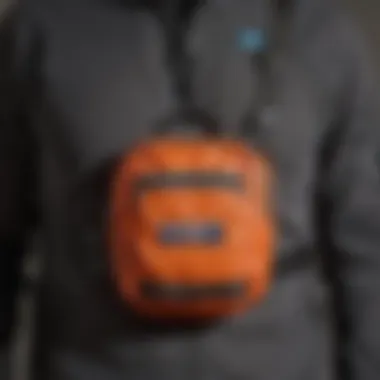Organizational Features of Patagonia Black Hole Mini Hip Pack Detail view of the organizational features of the Patagonia Black Hole Mini Hip Pack