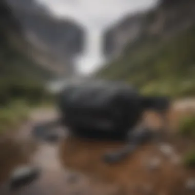Rugged Design of Patagonia Black Hole Mini Hip Pack Patagonia Black Hole Mini Hip Pack showcasing its rugged design and durable materials