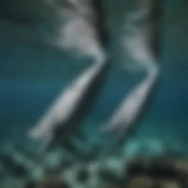 Fins in Ocean Swimming Fins in action in ocean water
