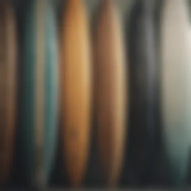 A detailed view of various surfboard shapes and their unique profiles.