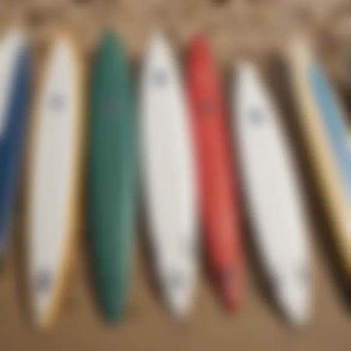 An array of surfboards lined up on a sandy beach, highlighting variety in gear