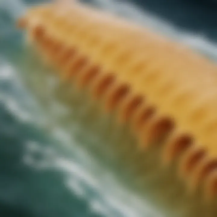 Close-up of a surf wax comb showcasing its unique design features