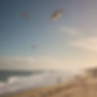 A group of kite enthusiasts flying their kites on a windy beach