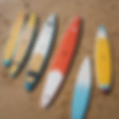 An overview of different types of SUP boards on a sandy beach