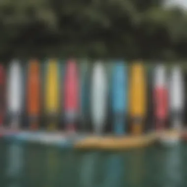 A diverse range of paddleboards on display, showcasing various sizes and designs.