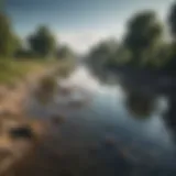 A polluted river with visible debris and murky water