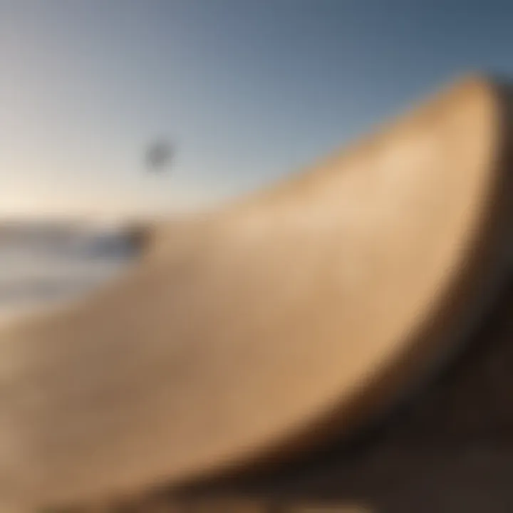 Innovative design features of a modern wooden half pipe