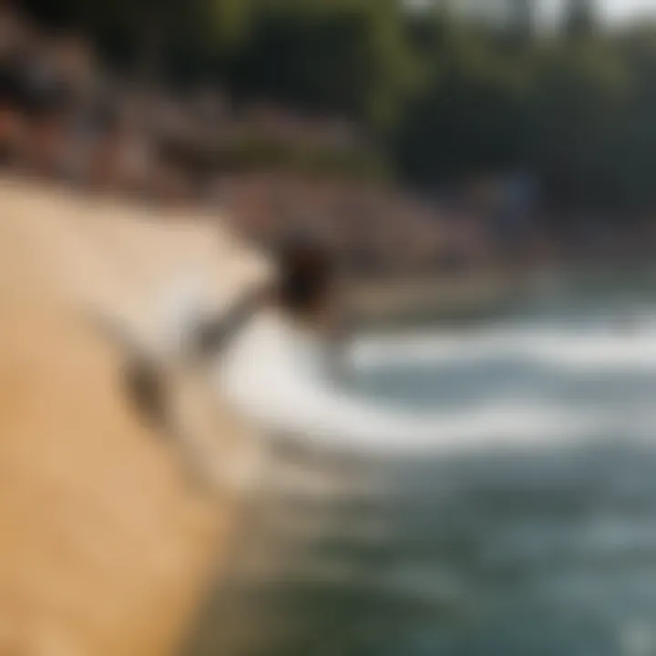 A group of enthusiasts engaging in watersport activities at a half pipe