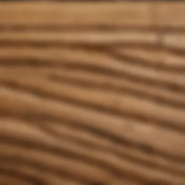 Close-Up of Wooden Material Close-up of the wood texture used in half pipe construction